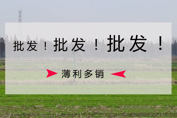 果冻传媒玛丽莲批发价格要比零售价格低