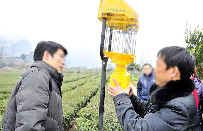 果冻传媒玛丽莲灯具安装攻略，注意事项大全，一定要看